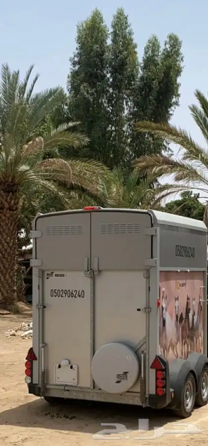 عربة نقل خيل نجران 0