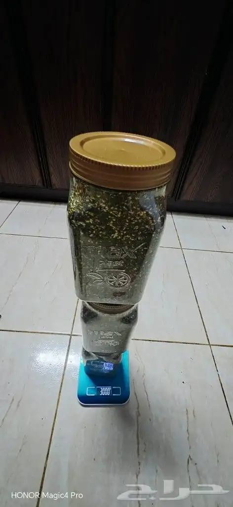 زعتر اخضر ملكي فاخر شغل منزلي 2