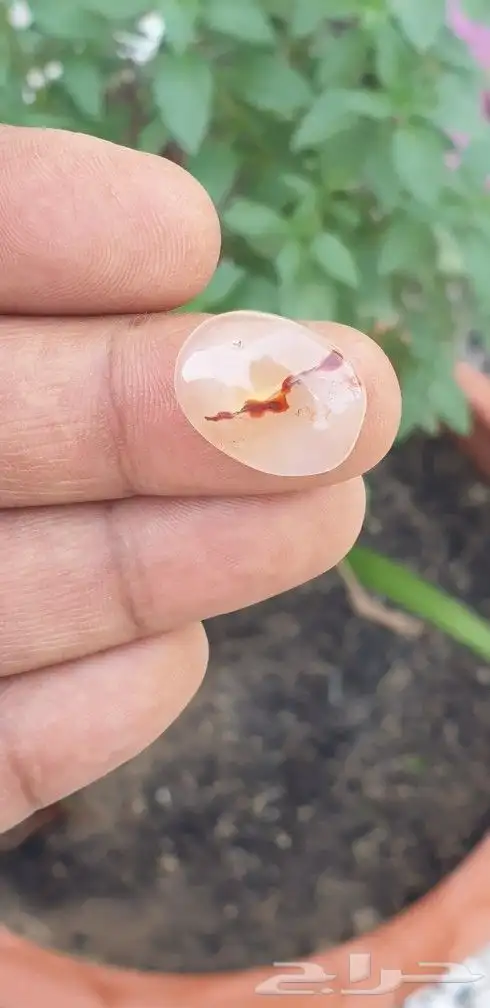 عقيق يماني مصور 0