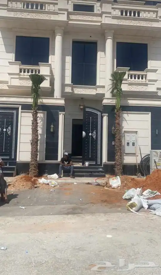 نخل واشنطني زينه 16