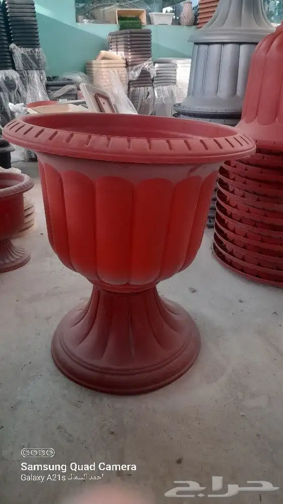 مزرعة الياسمين 7