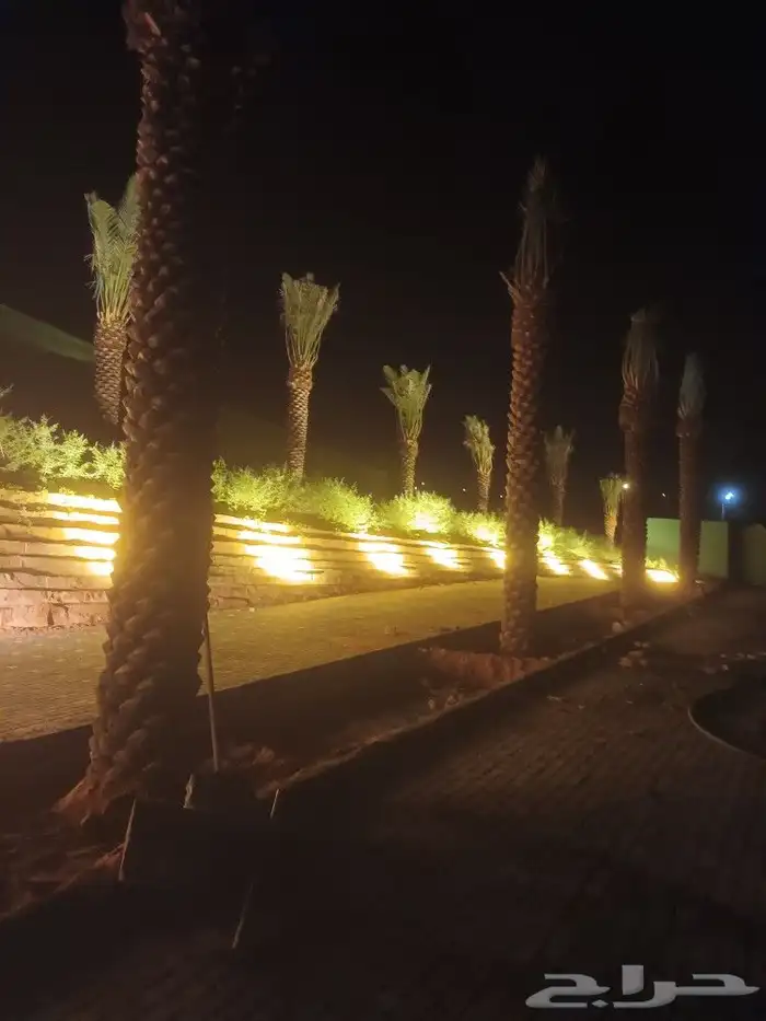 تركيب شبوك وزراعة النخيل 6