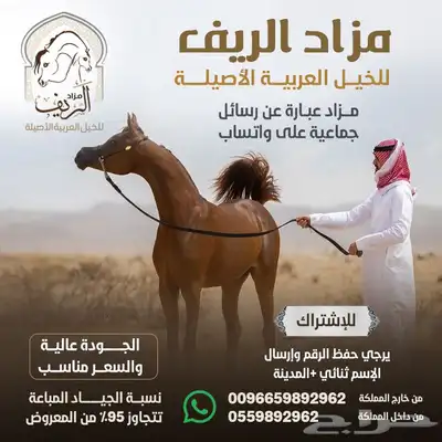 مطلوب اسطبل للإيجار 0