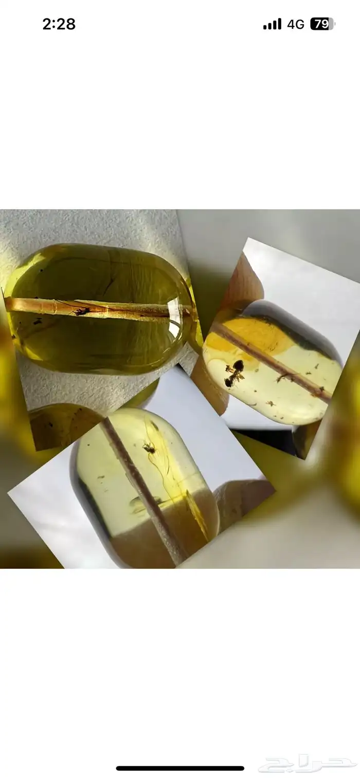 مسباح كهرب 0