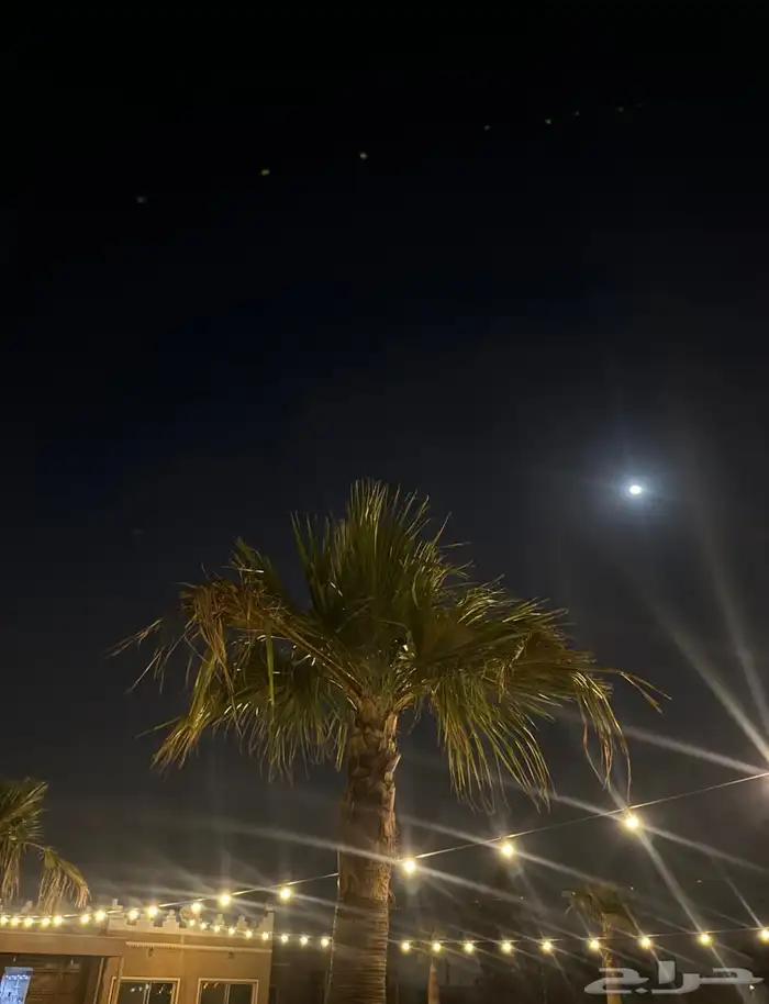 استراحة القلعة للايجار اليومي ببريدة متوفر بسعر مناسب 1