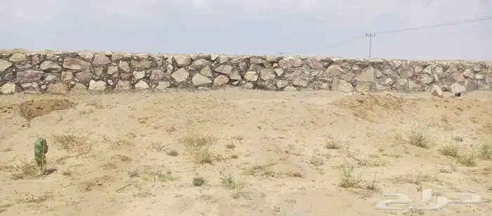 معلم حجر مباني بوكلين تلبيسات رباريب ممرات 1