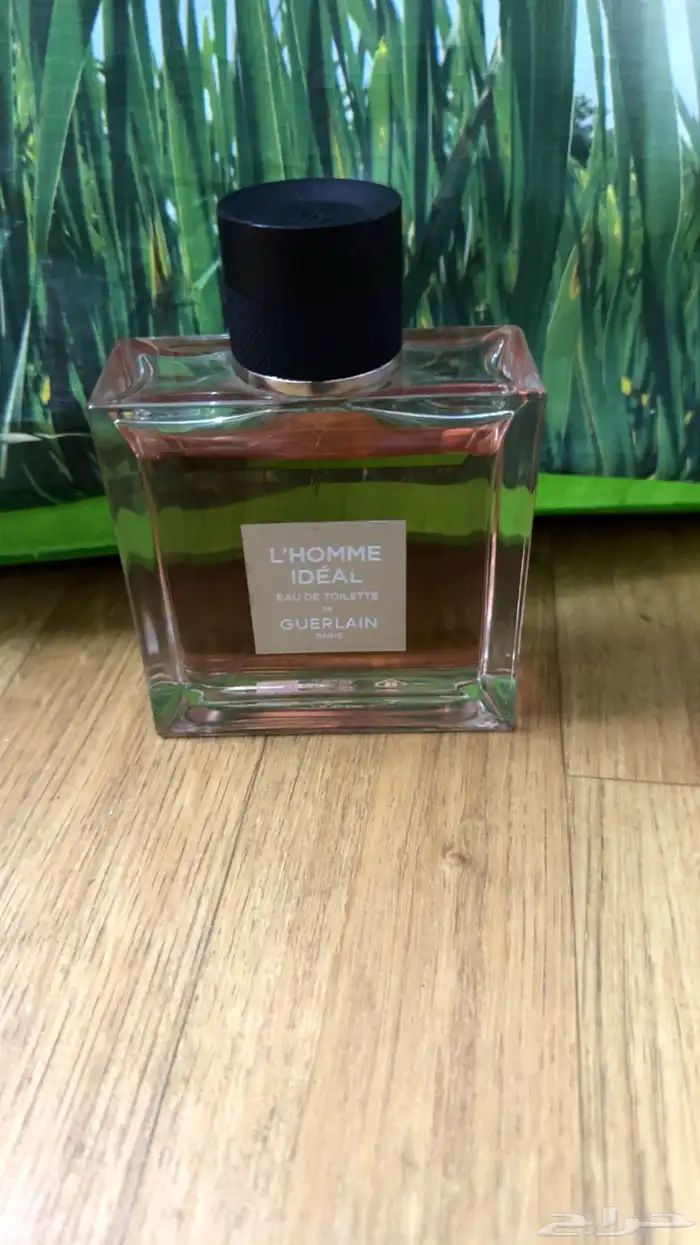 عطورت مطار دساتر اصليه سعرناء بربع قايمه 13
