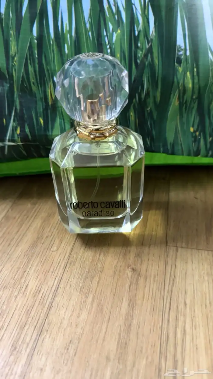عطورت مطار دساتر اصليه سعرناء بربع قايمه 17