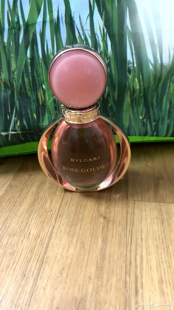 عطورت مطار دساتر اصليه سعرناء بربع قايمه 19