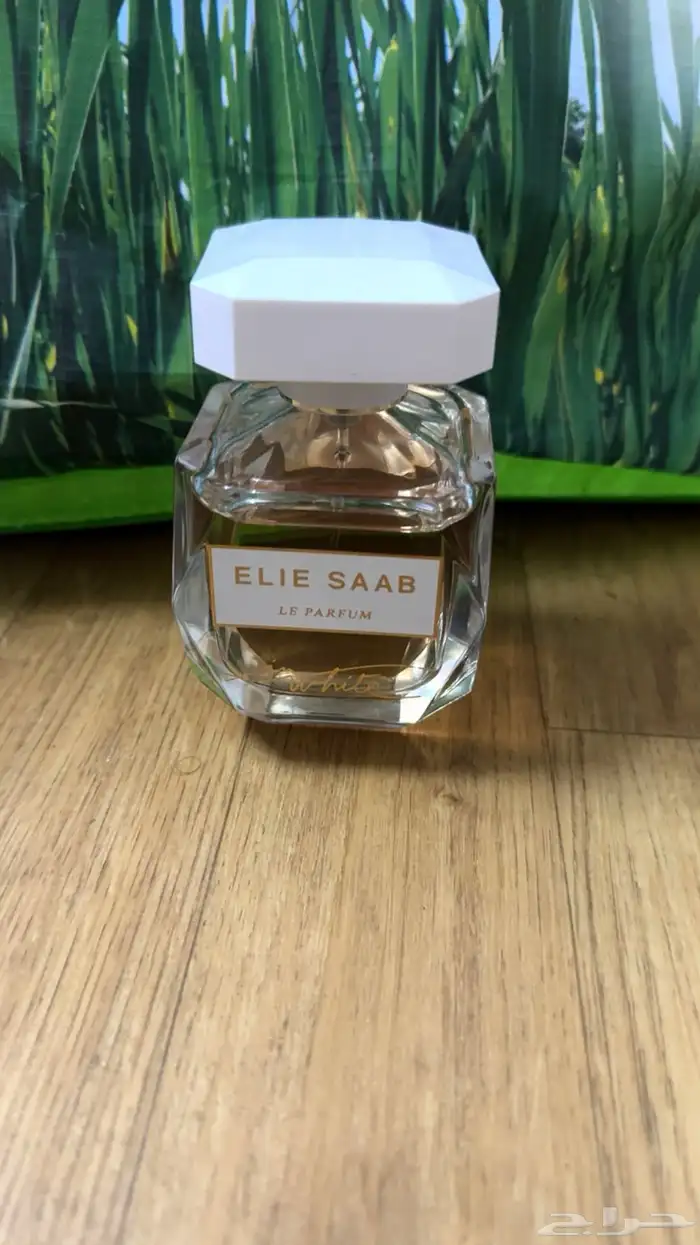 عطورت مطار دساتر اصليه سعرناء بربع قايمه 16