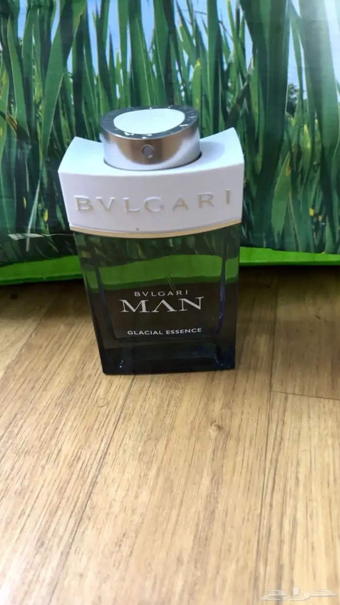 عطورت مطار دساتر اصليه سعرناء بربع قايمه 21