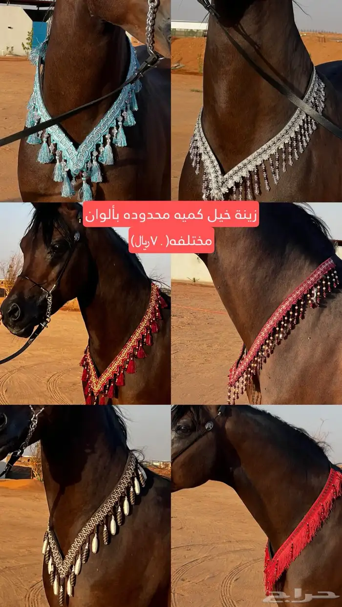 مستلزمات خيل 39