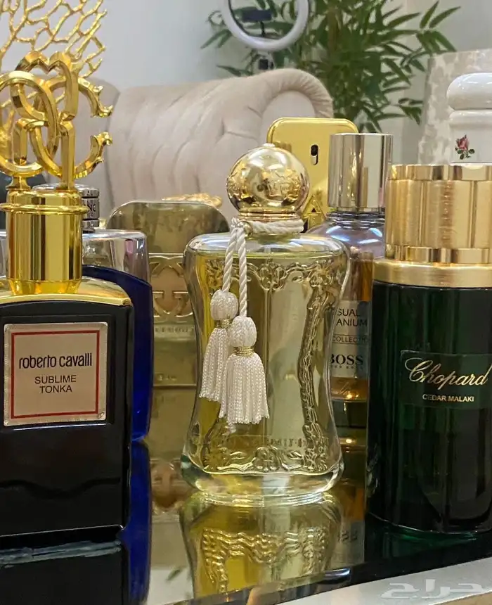 عطورت مطار دساتر اصليه سعرناء بربع قايمه 1