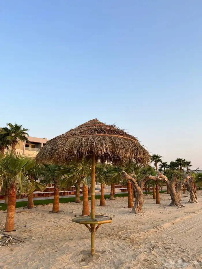 مظلات البامبو والخيزران الاندنوسي والعرائش 5