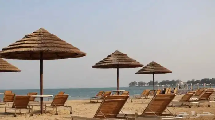 مظلات البامبو والخيزران الاندنوسي والعرائش 20