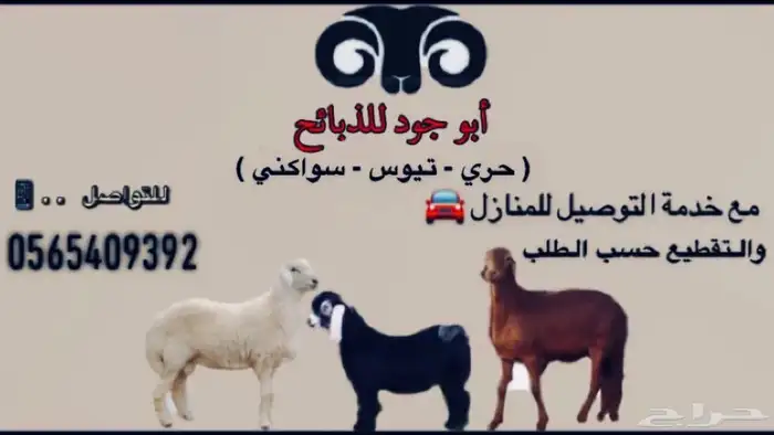 ذبايح أبو جود ( ذبح توصيل ) 37