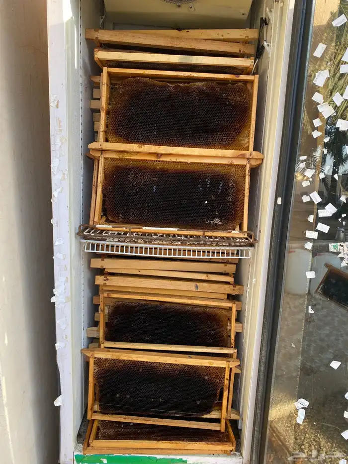 صناديق نحل مع البراويز 2