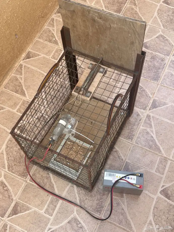 مصيده للحمام وغيره من الحيوانات الصغيره 0