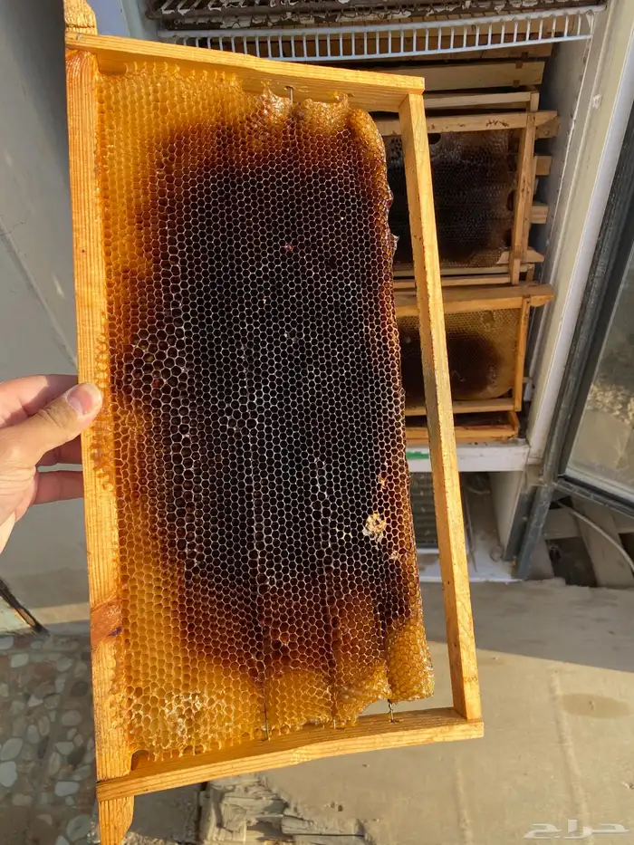 صناديق نحل مع البراويز 0