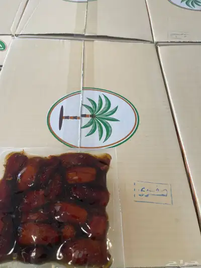 صفري بيشة 1