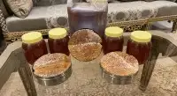 عسل السدر الدوعني الحضرمي 3