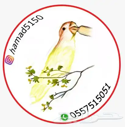 فرخ كنيور (((تم البيع ))) 2