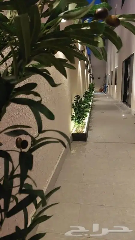 تنسيق حدائق الطائف 2