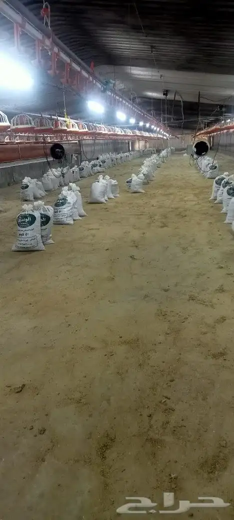 يوجد سماد دجاج لاحم ممتاز لجميع انواع الزراعه والأشجار 0