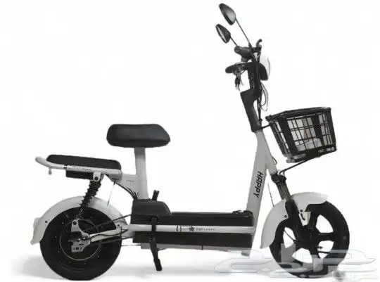 Scooter Monster 48V 3