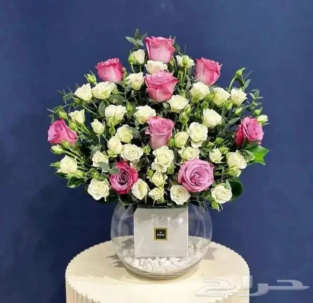 هدايا ابها خميس مشيط 4