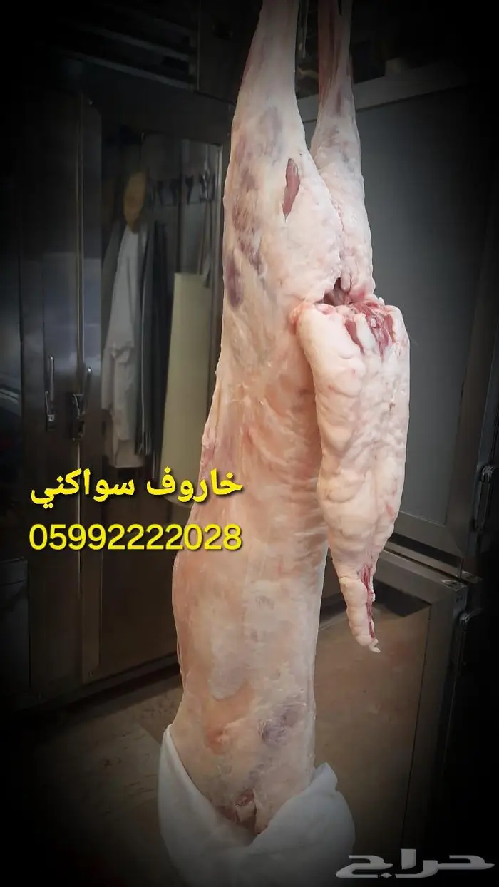 ذبائح سواكني مرابي طازج ذبح وتوصيل الرياض 9