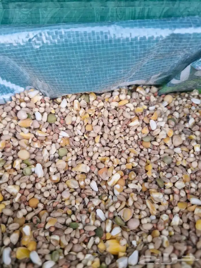 اعلاف حمام ودجاج فاخرة 1