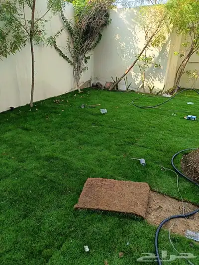 ابويوسف 8