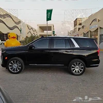 كاديلاك أسكاليد 2021 بلاتنيوم فيرست أدشن مخزن 0