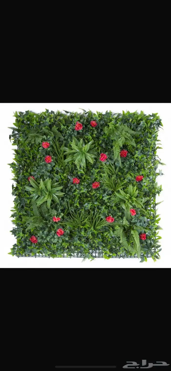 عشب صناعي جدراي أقل سعر في السوق 13