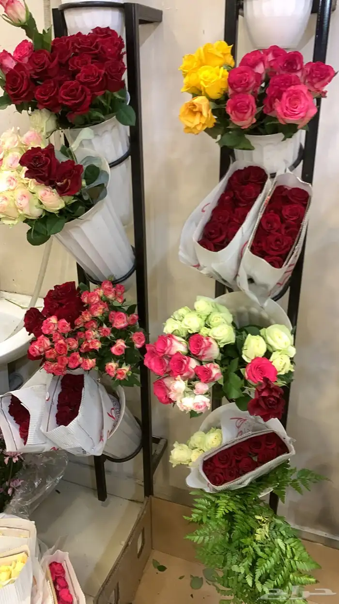 هدايا ورد وتوصيل _مندوب قطع غيار 8