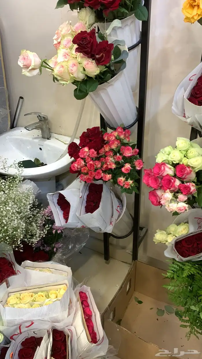 هدايا ورد وتوصيل _مندوب قطع غيار 7