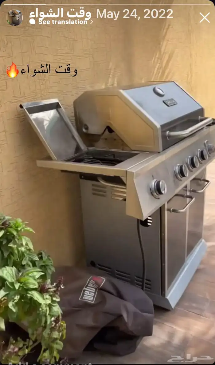 Flamingo Hills Resort Al Ammariah for daily rent 10