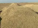 خرسان ابيض واسود. وعدسيات وبطحا ودفان 6