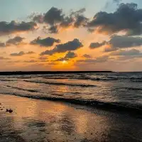 بيع اشعار وقصائد 2