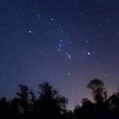 بيع اشعار وقصائد 0