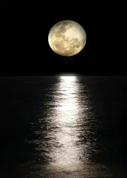 بيع اشعار وقصائد 3