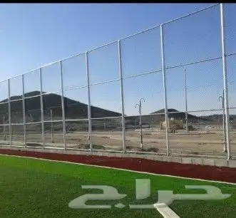 توريد النخيل وتركيب الشبوك 6