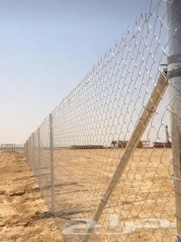 توريد النخيل وتركيب الشبوك 5