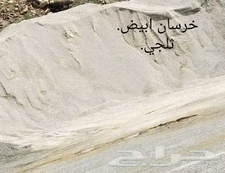 خرسان ابيض واسود. وعدسيات وبطحا ودفان 1