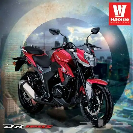 haojue Motorcycle DR160S 4