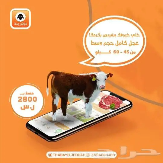 ذبايح جده - حري - نعيمي - سواكني - ذبائح ثلاجه تيس 7