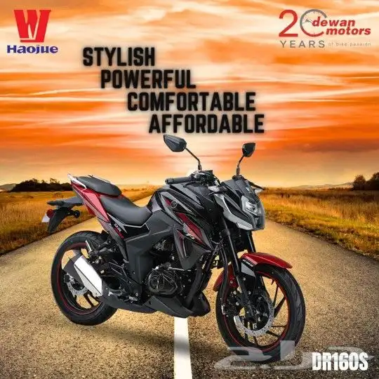 haojue Motorcycle DR160S 13