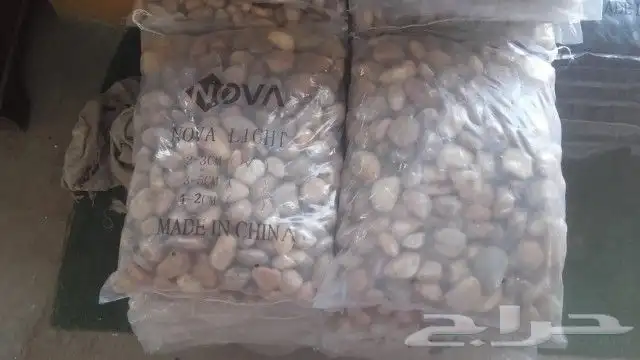 لدينا جميع انواع الزراعه والنخيل ارخص سعر واحسن خدمات 4