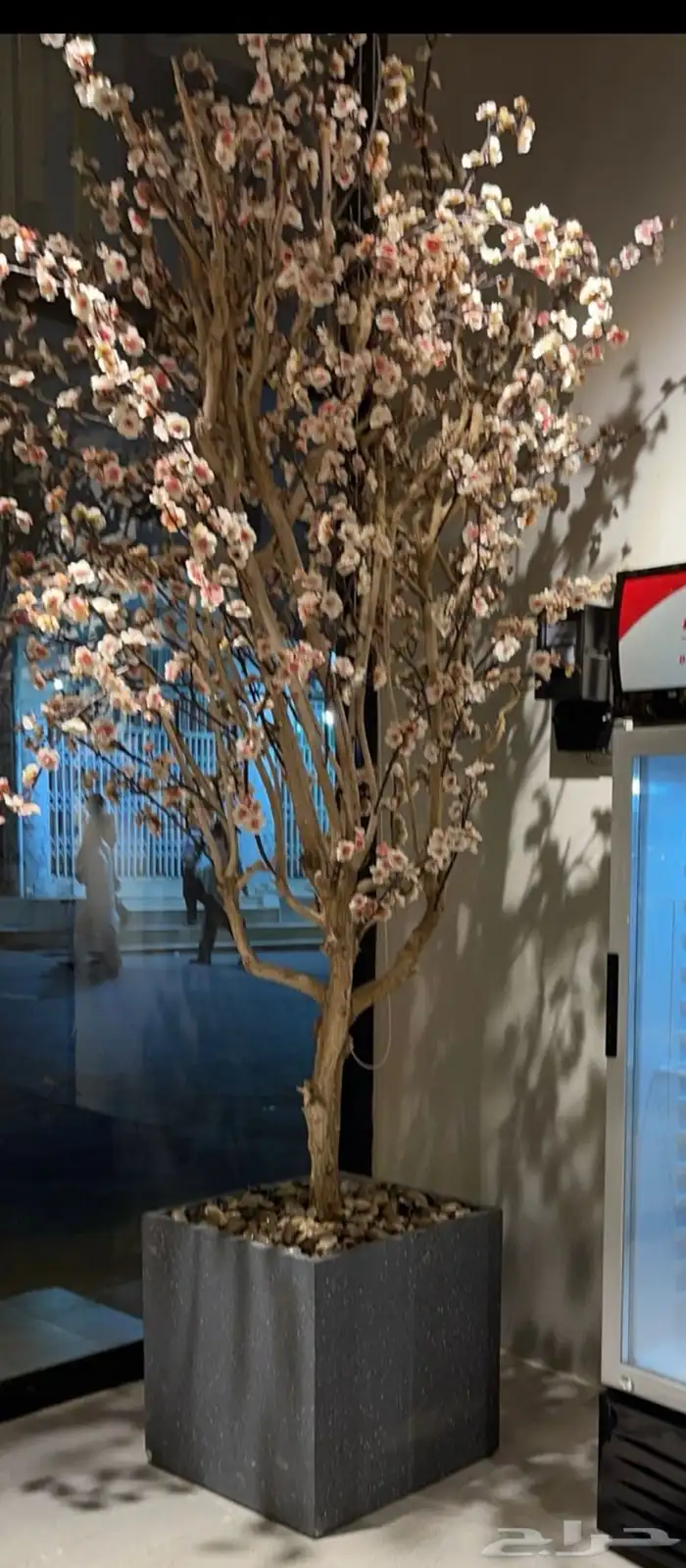 للبيع اشجار صناعية كبيرة جدا 3 متر 2